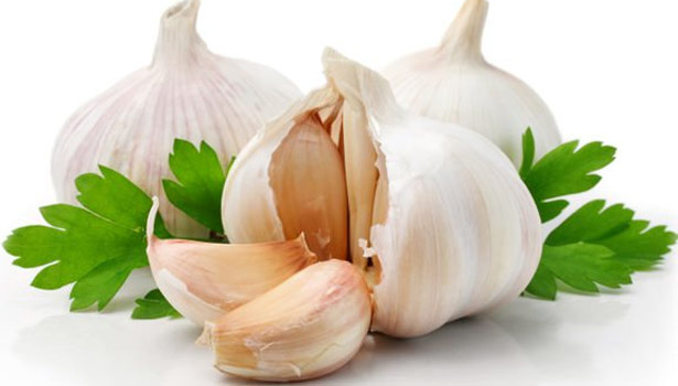 201605181208473504 Within two weeks of belly fat garlic dissolves SECVPF