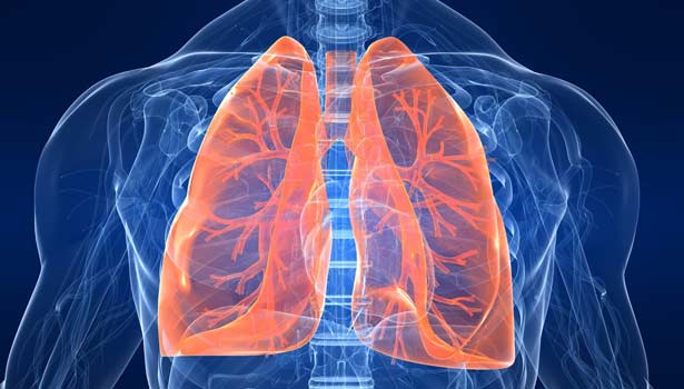 201605300954123970 Simple Steps to protect the lung damaging SECVPF