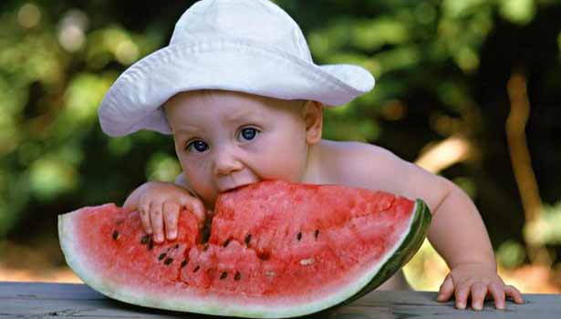 201704091154047126 watermelon is summer cooling SECVPF
