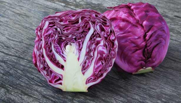 red Cabbage benefits SECVPF