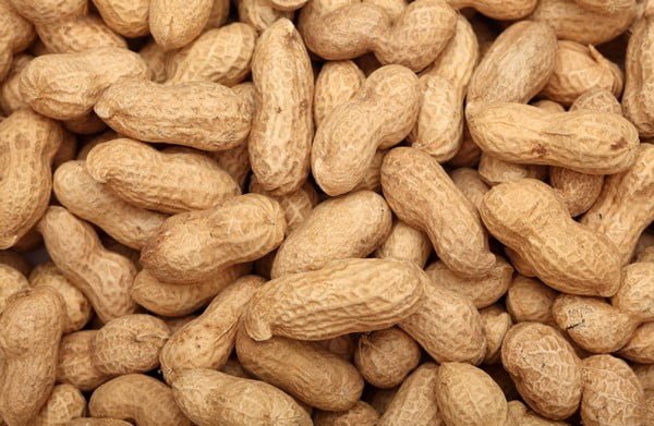 peanut 600 1