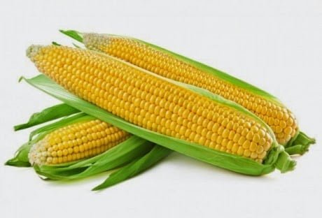 corn special 004