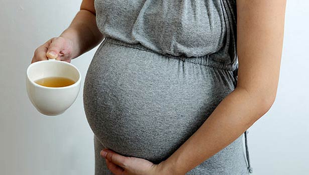 201604131056529222 green tea during pregnancy SECVPF