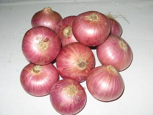 fresh red onion1