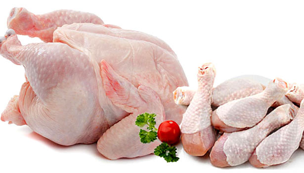 201605211046421156 Broiler chicken are damaging to health SECVPF