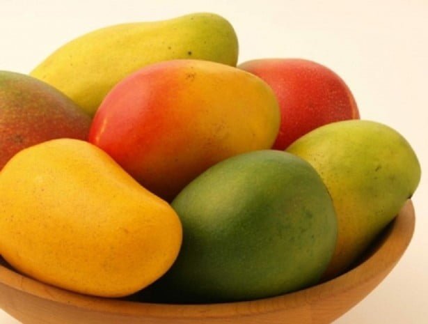 malgova mango 002