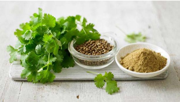 201606041255249960 coriander seeds and power to reduce bad cholesterol SECVPF