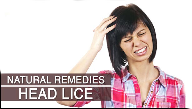 201607280704591424 The natural way to alleviate the problem of lice SECVPF