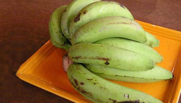 201608060713354262 Green Banana offers various benefits SECVPF