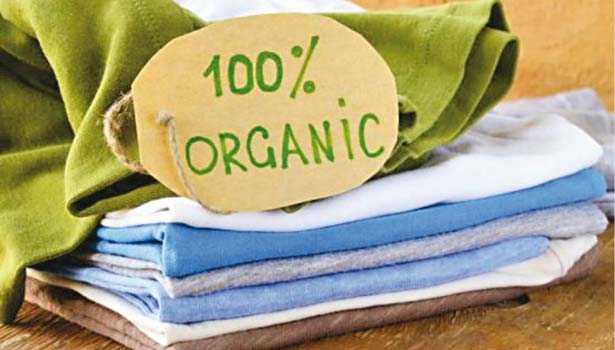 201608060836014254 Organic clothing is formed without mixing chemicals SECVPF