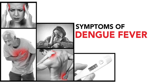 201609200753263013 Symptoms of dengue fever SECVPF