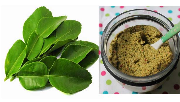 201610151116099889 narthangai leaf thuvaiyal SECVPF