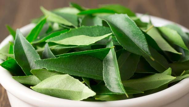 201610170936456240 cholesterol problem Then try to eat curry leaves SECVPF