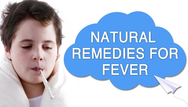 201610260914199754 natural medicine for fever SECVPF