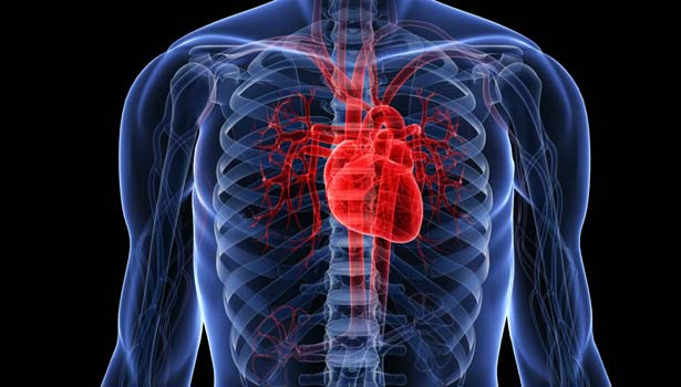 201612210933520436 rare Information about heart SECVPF