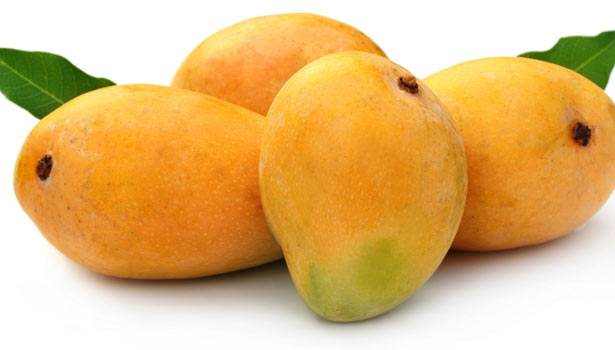 201703310830540490 mango. L styvpf 1