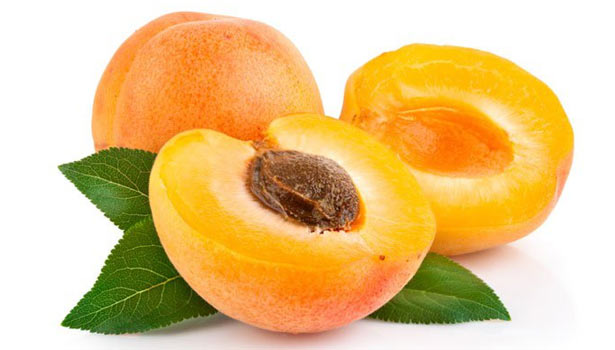 201704071135049076 Apricot fruit for healing digestive problems SECVPF