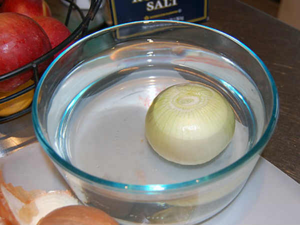 22 1363956555 onions in water 600
