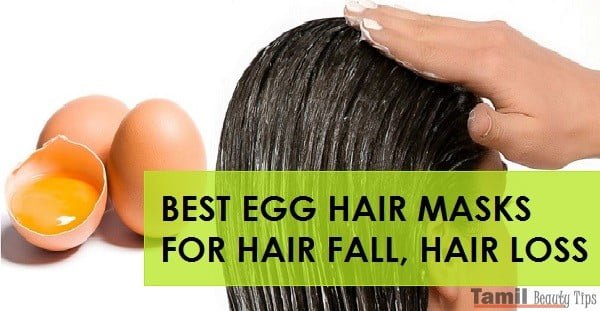 Best Egg Hair Mask for Hair Fall Hair Loss and Growth