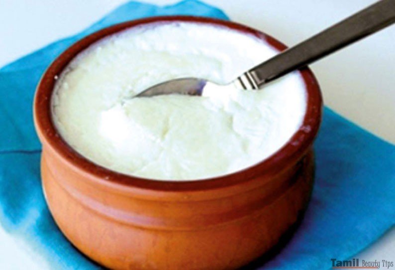 Curd is good for the stomach SECVPF