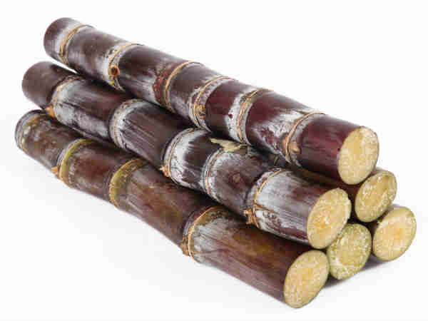 1 sugarcane 13