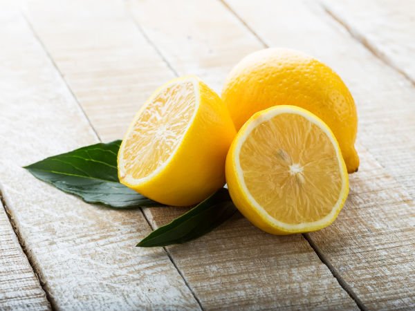 lemon 600