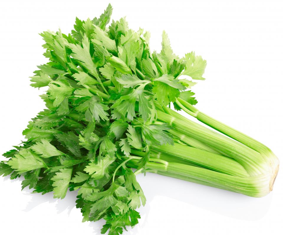 celery against white