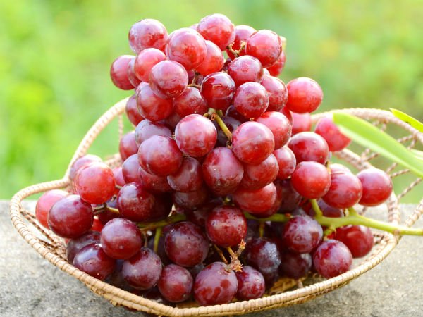 11 grapes 1