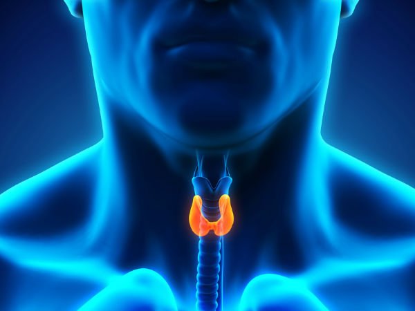 3 signs of underactive thyroid