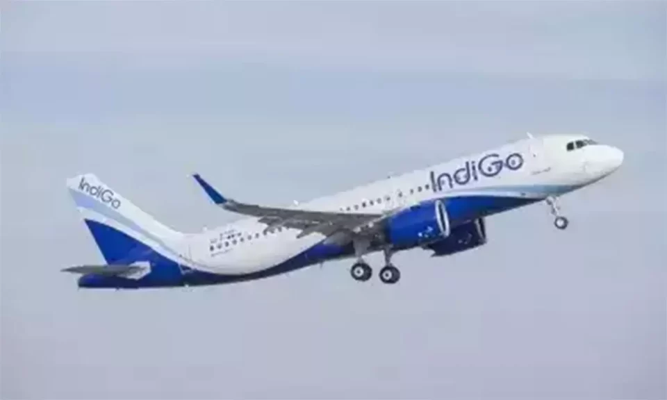1886772 indigo flight