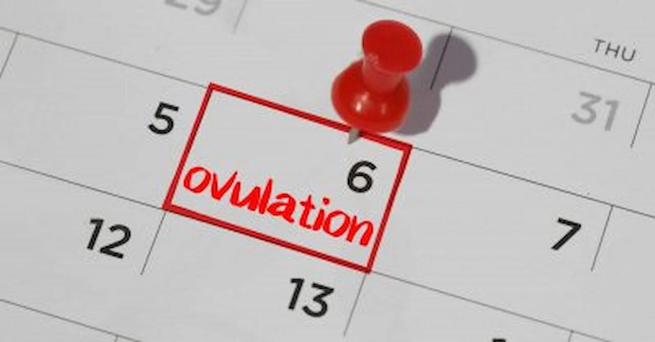 Ovulation Calendar Free Ovulation Calculator