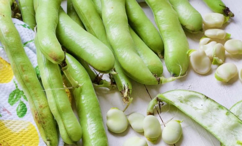 How to Cook Broad Beans 1200x1200 1